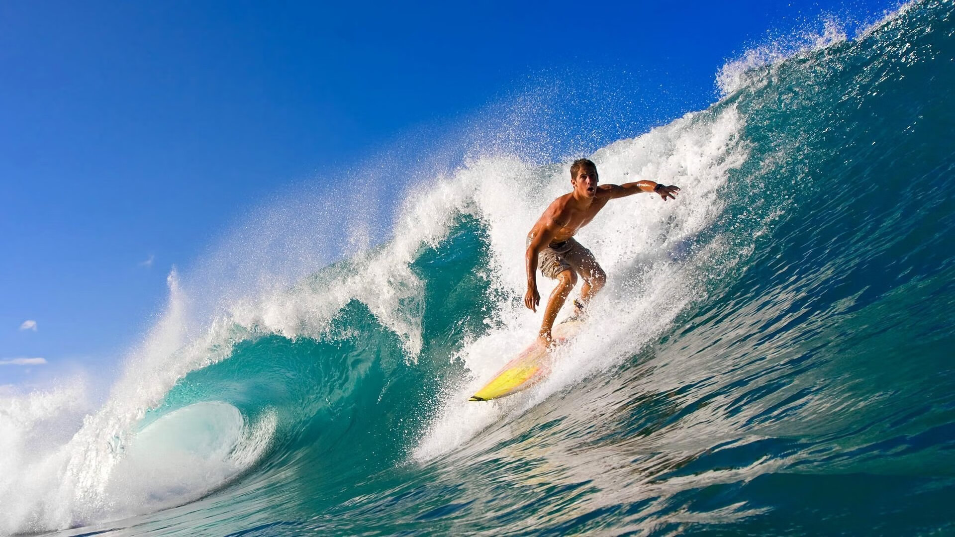 2026世界杯赛场内外全面升级，智能化设施成亮点，2026年世界杯参赛队伍