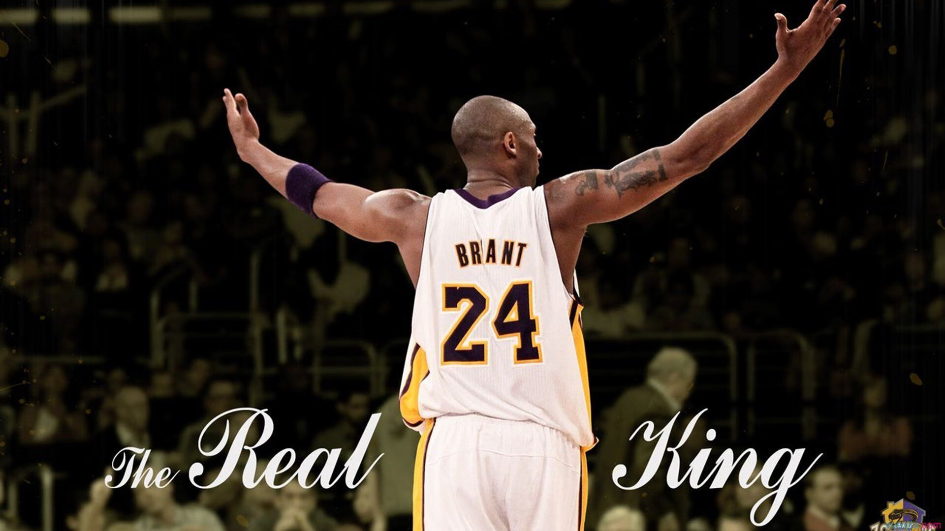 星空体育入口-_美网激战正酣：顶级明星现场较量_，美网集锦